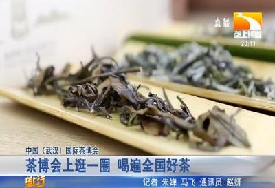茶博会上逛一圈 喝遍全国好茶