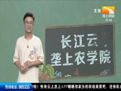 长江云-垄上农学院 2019-08-26