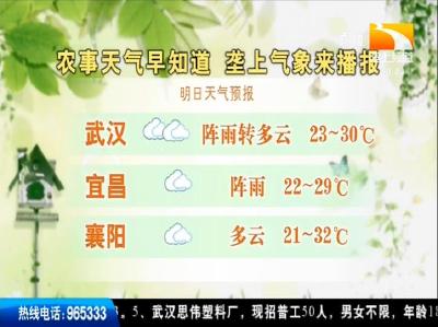 垄上气象站 2019-08-27