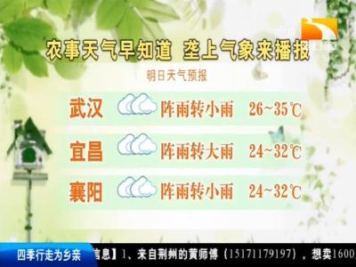 垄上气象站 2019-08-25