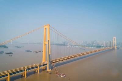 武汉第十座跨江大桥即将建成通车，网友：颜色太酷炫