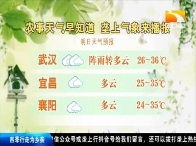 垄上气象站 2019-08-22