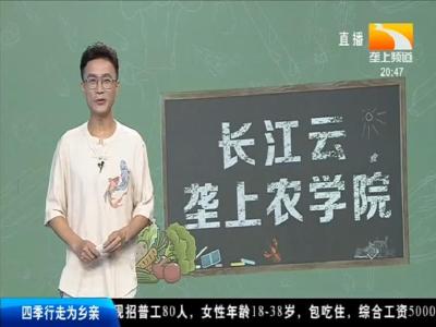 长江云-垄上农学院 2019-08-28