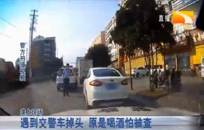 遇到交警车掉头 原是喝酒怕被查