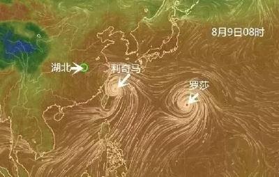 台风