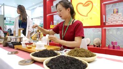 六大茶类，上万类精品！武汉茶博会上逛一逛，喝遍全国好茶