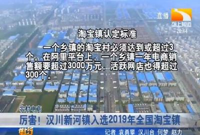 厉害！汉川新河镇入选2019年全国淘宝镇