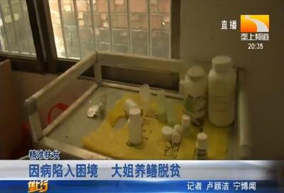 因病陷入困境 大姐养鳝脱贫