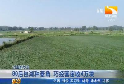 80后包湖种菱角 巧经营亩收4万块