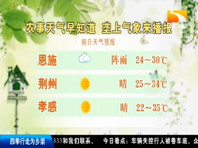 垄上气象站 2019-09-08