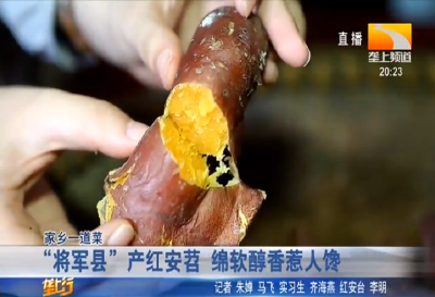 “将军县” 产红安苕 绵软醇香惹人馋