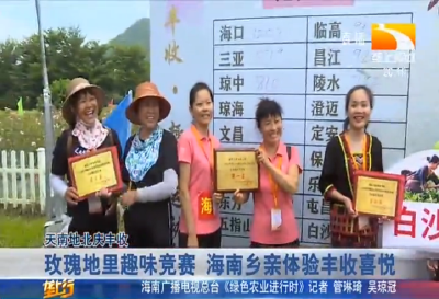 玫瑰地里趣味竞赛 海南乡亲体验丰收喜悦
