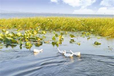 梁子湖鄂州水域计划3年创建国家级示范湖泊