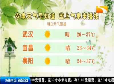 垄上气象站 2019-09-11