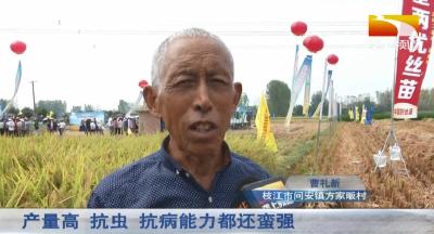 湖北垄上频道：水稻良种，助农增收