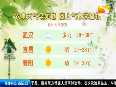 垄上气象站 2019-09-01