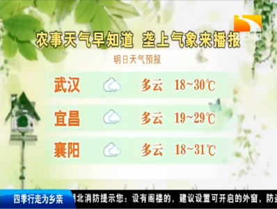 垄上气象站 2019-09-24