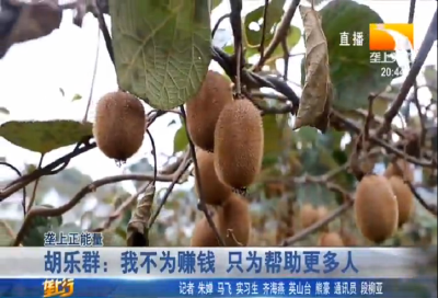 胡乐群：我不为赚钱 只为帮助更多人