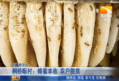桐桥畈村：蜂蜜丰收 农户脱贫