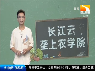 长江云-垄上农学院 2019-09-04