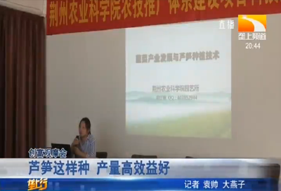 芦笋这样种 产量高效益好