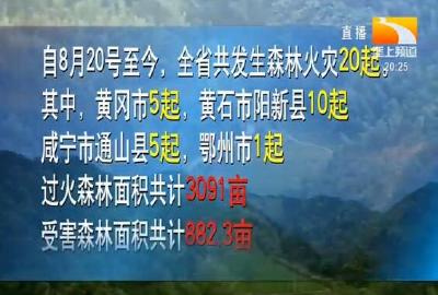 多地发生森林火灾 湖北提前进入重点防火期