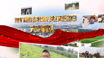 第一书记的“丰收”日记