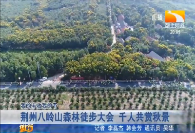 荆州八岭山森林徒步大会 千人共赏秋景