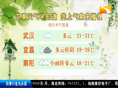 垄上气象站 2019-09-16