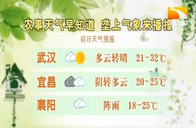 垄上气象站 2019-09-14