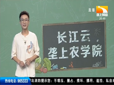 长江云-垄上农学院 2019-09-02