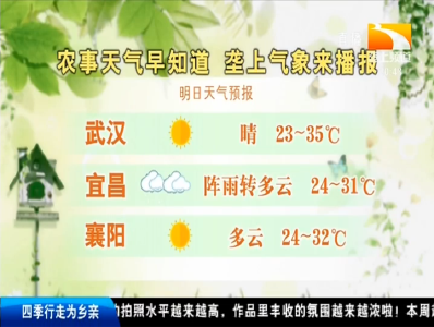 垄上气象站 2019-09-09