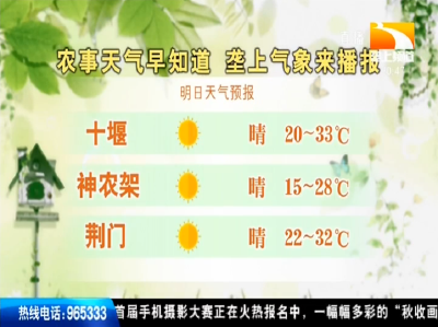 垄上气象站 2019-09-04