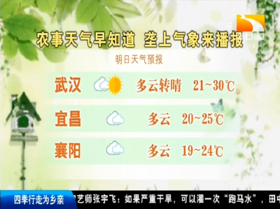 垄上气象站 2019-09-15