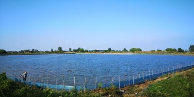 湖北水产养殖迈向绿色时代