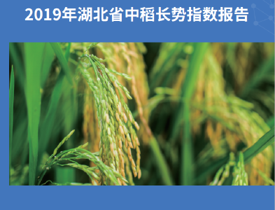 重磅发布！2019年湖北省中稻长势指数报告出炉