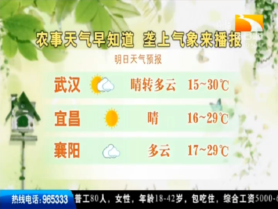 垄上气象站 2019-09-22