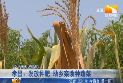 孝昌：发放种肥 助乡亲改种蔬菜