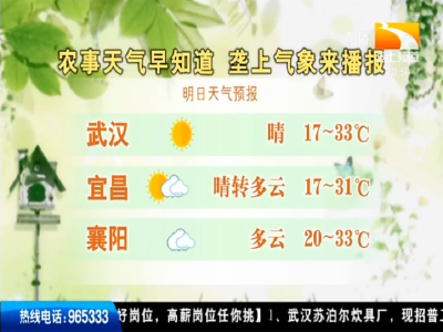 垄上气象站 2019-09-29