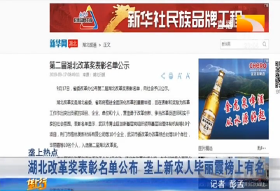 湖北改革奖表彰名单公布 垄上新农人毕丽霞榜上有名