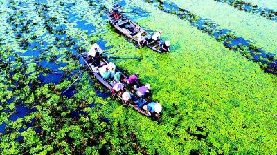 湖北城镇化率逾六成 好空气天数3年上升11.8%