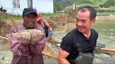 湖北通山县：一把盐、一根竹竿，让他养鱼养出6000万！