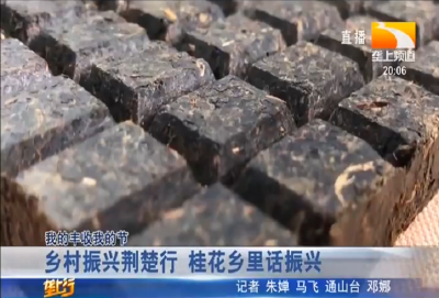 乡村振兴荆楚行 桂花乡里话振兴