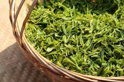 “湖北茶”香飘海外 上半年出口增长56.8%，均价高于全国1.4倍