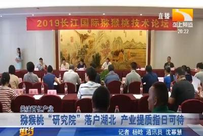 猕猴桃 “研究院” 落户湖北 产业提质指日可待