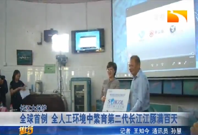 全球首例 全人工环境中繁育第二代长江江豚满百天