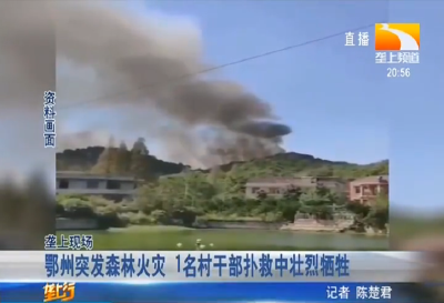 鄂州突发森林火灾 1名村干部扑救中壮烈牺牲