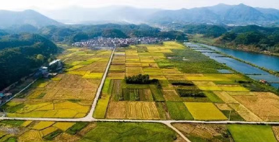 宜昌市主要农作物春季施肥建议
