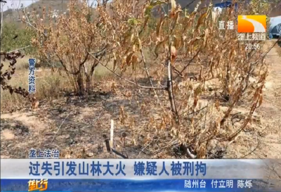 过失引发山林大火 嫌疑人被刑拘