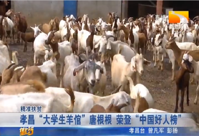 孝昌“大学生羊倌”唐根根 荣登“中国好人榜”